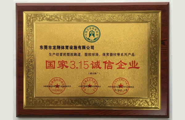 广东龙翔体育