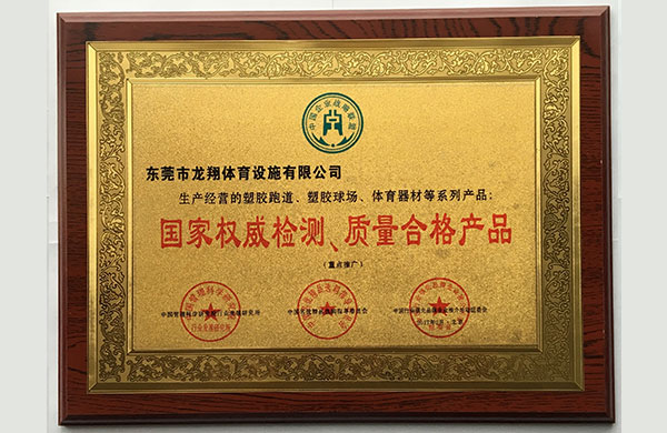 广东龙翔体育